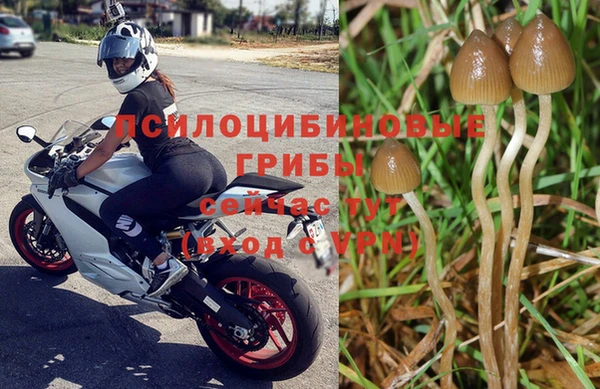 спайс Богородск