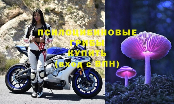 не бодяженный Богородицк