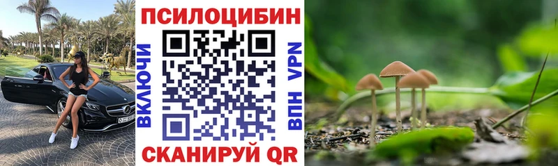 Купить где  Белебей  Псилоцибиновые грибы мицелий 